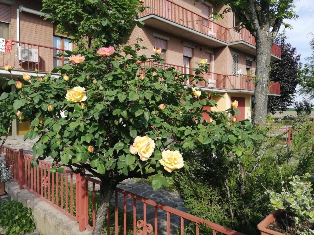 Gold B&B Ravarino Exteriér fotografie